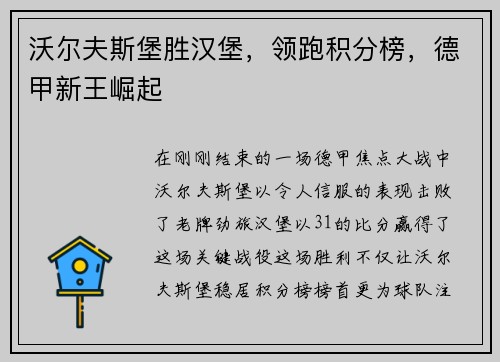 沃尔夫斯堡胜汉堡，领跑积分榜，德甲新王崛起